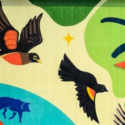 Partial Detail of Reflections of Riverstone